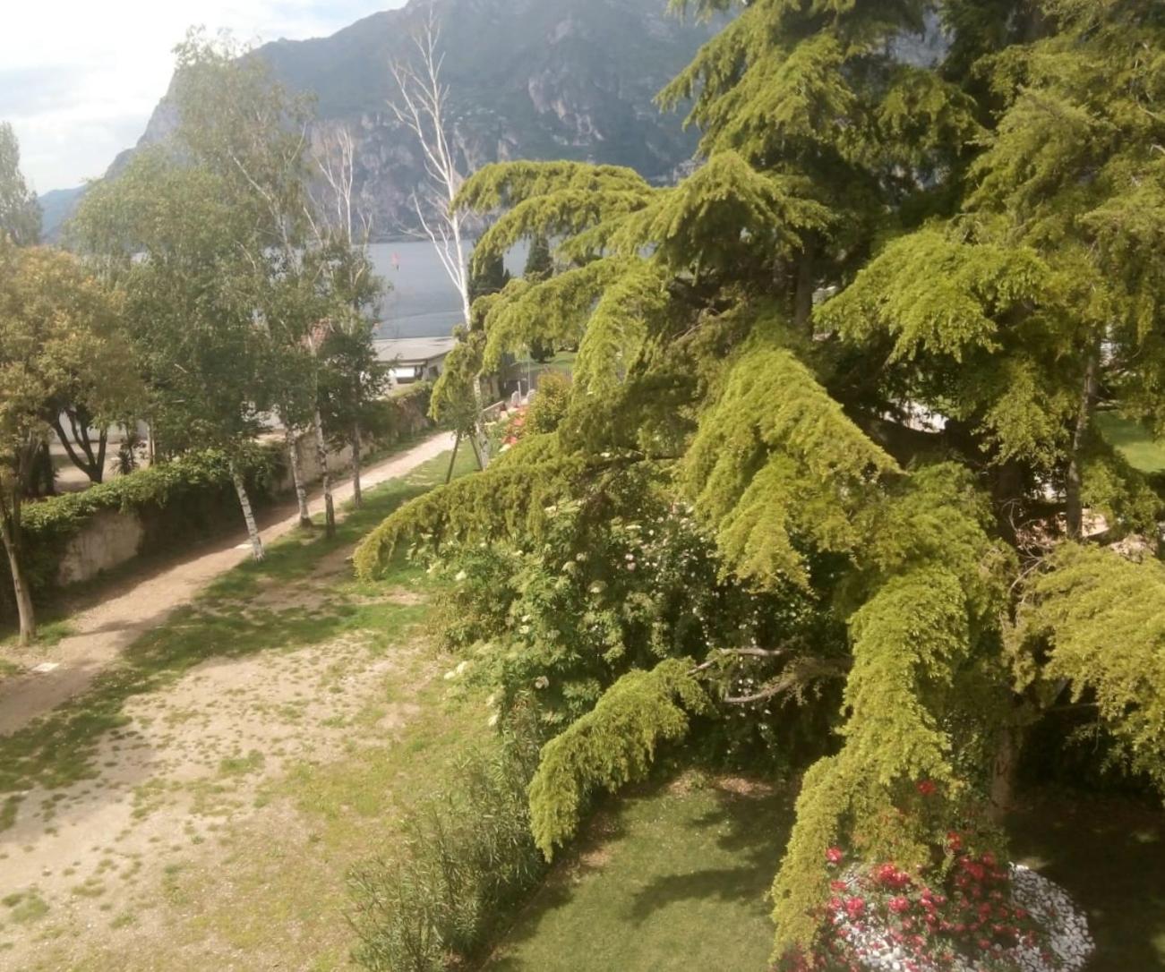 Villa Torbole Torbole Sul Garda Exterior foto